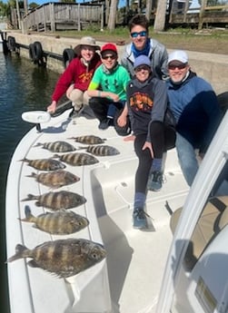 Sheepshead fishing in Panama City, Florida