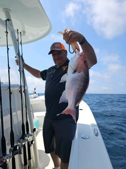 Red Snapper Fishing in Panama City, Florida