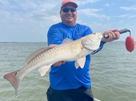 Redfish Fishing in Corpus Christi, Texas