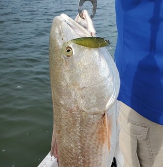 Redfish fishing in Aransas Pass, Texas