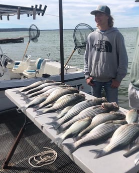 Striped Bass fishing in Burnet, Texas