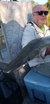 Alligator Gar fishing in Livingston, Texas