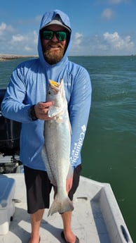 Redfish, Speckled Trout / Spotted Seatrout fishing in Port O&#039;Connor, Texas