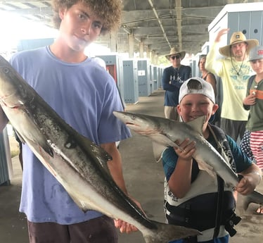 Cobia fishing in Galveston, Texas