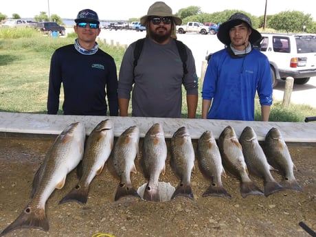 Redfish fishing in San Antonio, Texas