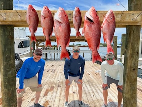 Red Snapper fishing in Orange Beach, Alabama