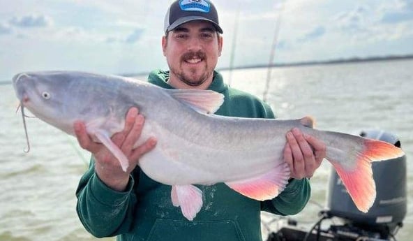 Blue Catfish Fishing in Dallas, Texas