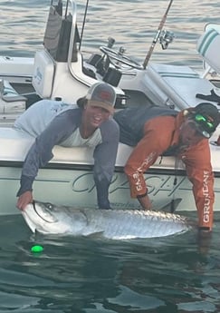 Tarpon Fishing in Sarasota, Florida