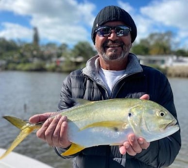 Jack Crevalle Fishing in Sarasota, Florida