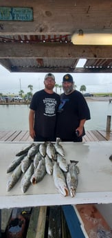 Speckled Trout / Spotted Seatrout fishing in Galveston, Texas