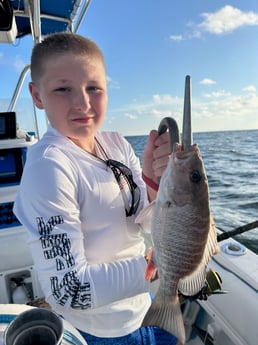 Fishing in Port Orange, Florida