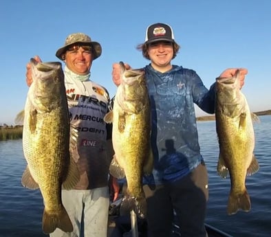 Largemouth Bass fishing in Austin , Texas