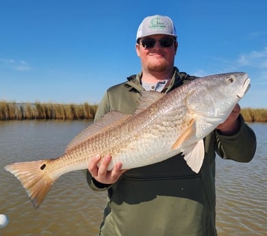 Redfish Fishing in