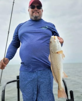 Redfish Fishing in South Padre Island, Texas