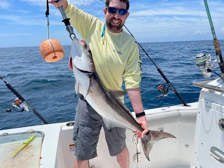 Cobia fishing in St. Augustine, Florida