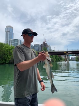 Largemouth Bass fishing in Austin, Texas