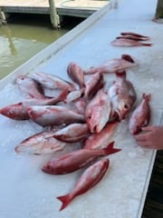 Fishing in Gulf Shores, Alabama