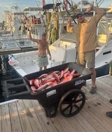 Red Snapper Fishing in Orange Beach, Alabama