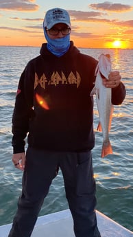 Speckled Trout / Spotted Seatrout fishing in Galveston, Texas