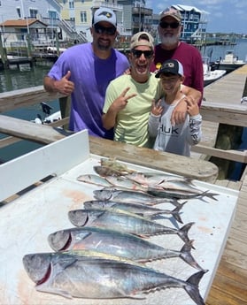 Bonito, Spanish Mackerel Fishing in Beaufort, North Carolina