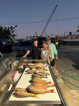 Mutton Snapper, Yellowtail Snapper Fishing in Marathon, Florida