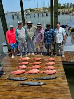 Kingfish, Red Snapper Fishing in Freeport, Texas