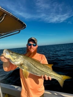 Fishing in Sarasota, Florida