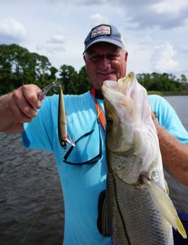 Snook Fishing in Jacksonville, Florida