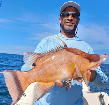 Hogfish Fishing in St. Petersburg, Florida