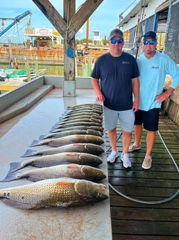 Redfish Fishing in Galveston, Texas