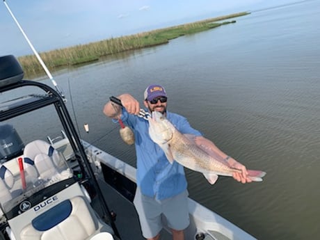 Redfish fishing in Venice, Louisiana