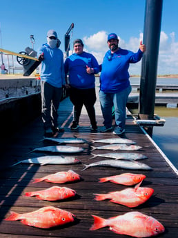 King Mackerel / Kingfish, Red Snapper fishing in Surfside Beach, Texas