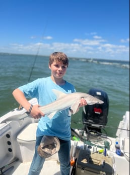 Bonnethead Shark fishing in Mount Pleasant, South Carolina