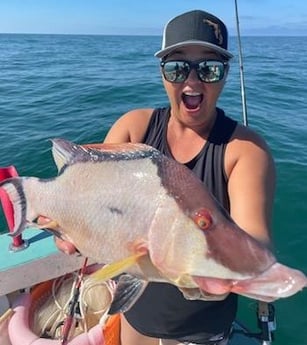 Hogfish Fishing in Holmes Beach, Florida