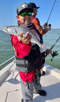 Black Drum fishing in Corpus Christi, Texas