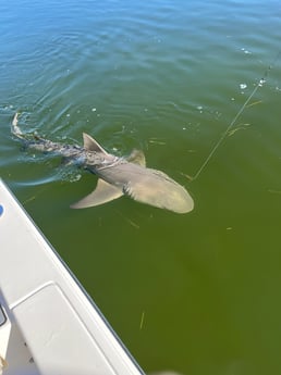 Fishing in Key Largo, Florida