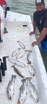 Redfish, Speckled Trout / Spotted Seatrout fishing in Port O&#039;Connor, Texas