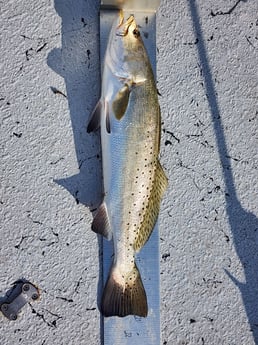 Fishing in Corpus Christi, Texas