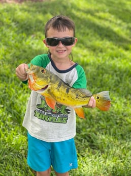 Fishing in Davie, Florida