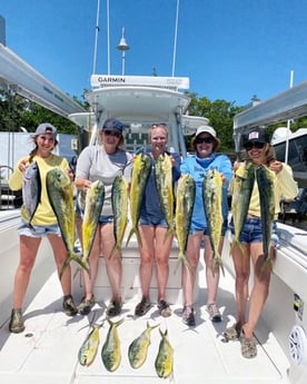 Mahi Mahi / Dorado fishing in Islamorada, Florida