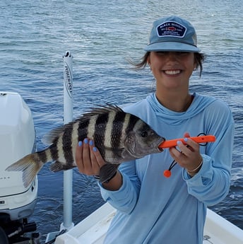 Sheepshead fishing in Mount Pleasant, South Carolina