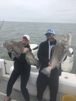 Black Drum fishing in Galveston, Texas