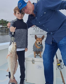 Redfish fishing in St. Petersburg, Florida