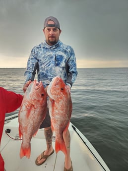 Red Snapper Fishing in Pensacola, Florida