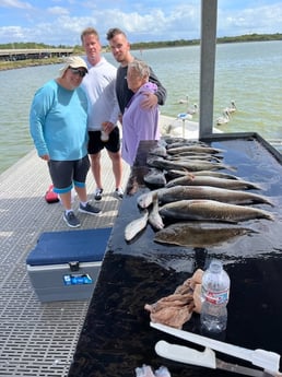 Black Drum, Flounder, Redfish Fishing in Galveston, Texas