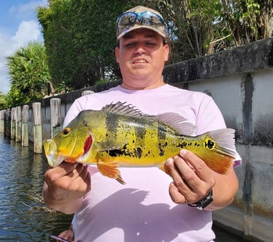 Peacock Bass fishing in Delray Beach, Florida