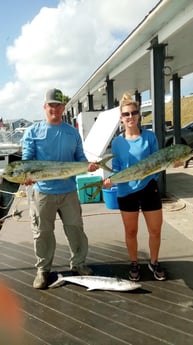 King Mackerel / Kingfish, Mahi Mahi / Dorado fishing in Key West, Florida