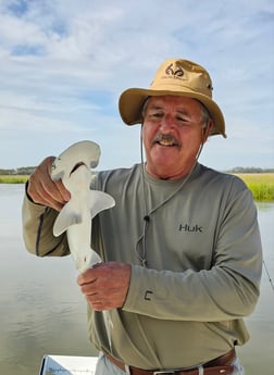 Bonnethead Shark Fishing in Mount Pleasant, South Carolina