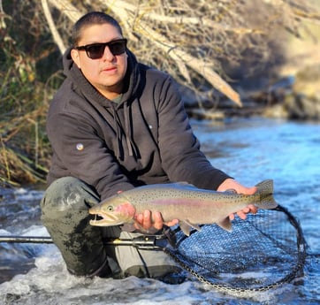 Rainbow Trout Fishing in