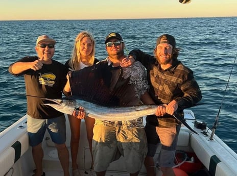 Sailfish Fishing in Marathon, Florida